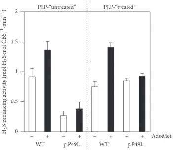 Figure 1: Hydrogen sulfide production by WT and p.P49L CBS. H 2 S producing activity of CBS purified in the absence (PLP-“untreated”) or presence (PLP-“treated”) of PLP (20 