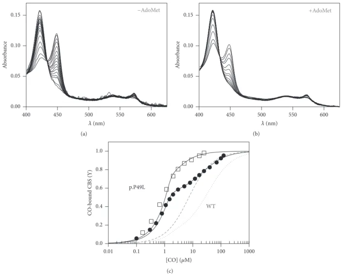 Figure 4: Enhanced CO affinity of p.P49L CBS. Absorption spectra collected upon anaerobic titration of reduced CBS p.P49L (1.4–1.6 
