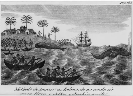 Fig. 3. Whaling scene entitled Way of fishing whales, to drive them to land and from them extracting the oil   from Historia de Brazil… of Alphonse de Beauchamp (1767-1832), Tomo VIII