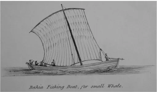 Fig. 4. Bahia fishing boat. Klaus Barthlemess Whaling Collection