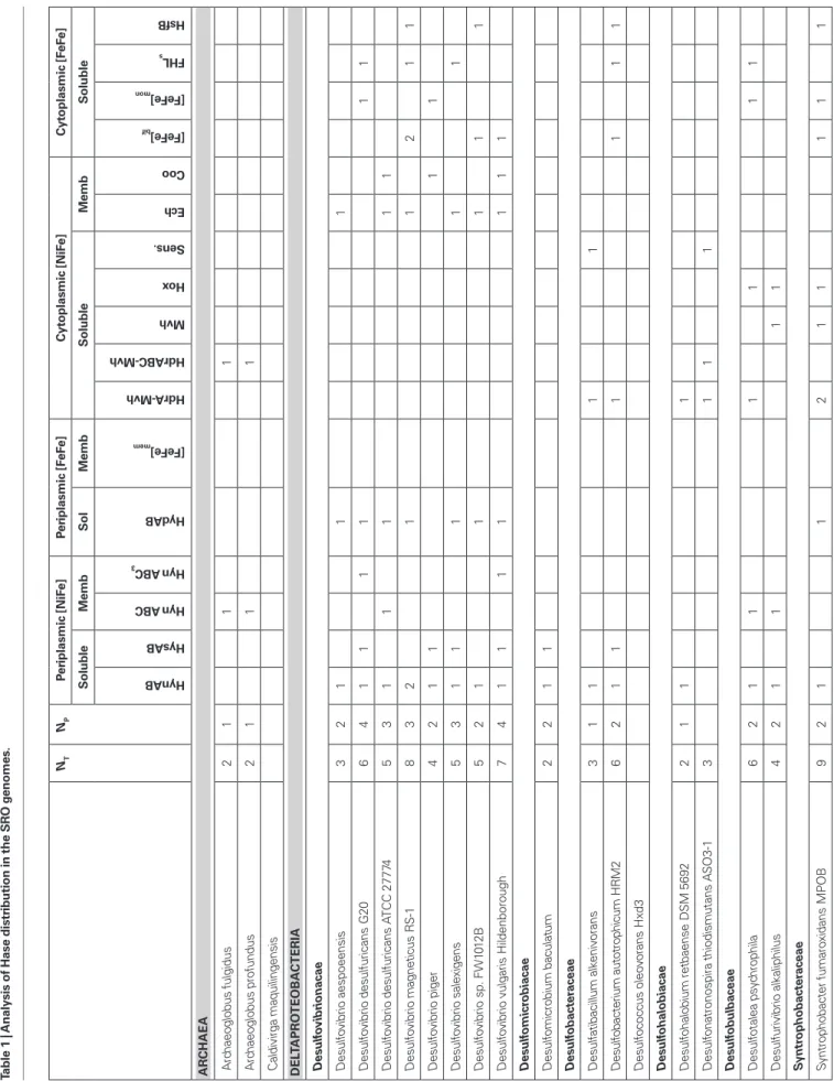 Table 1 | Analysis of Hase distribution in the SRO genomes. N TNPPeriplasmic [NiFe]Periplasmic [FeFe]Cytoplasmic [NiFe]Cytoplasmic [FeFe] SolubleMembSolMembSolubleMembSoluble HynABHysABHyn  ABCHyn  ABC3HydAB [FeFe]memHdrA-MvhHdrABC-MvhMvhHoxSens.EchCoo[FeF