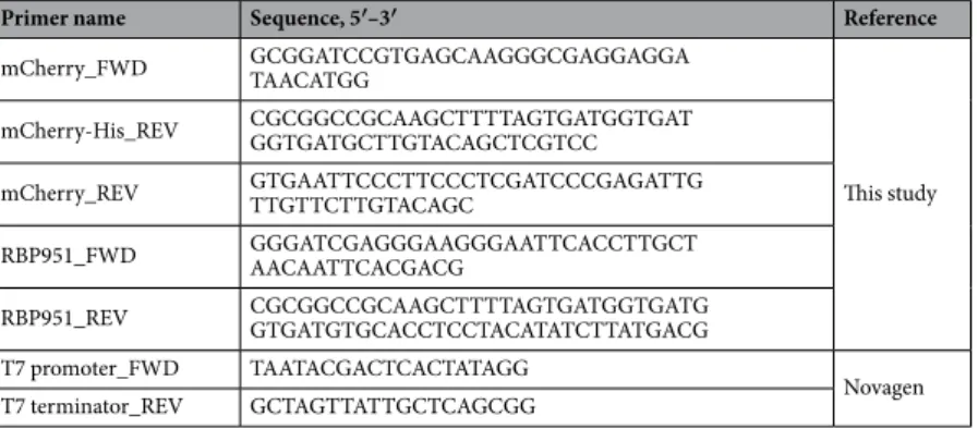 Table 3.  List of primers used in this study.