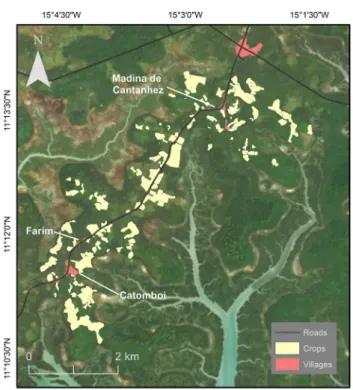Fig. 2    Map showing the area surveyed during this study