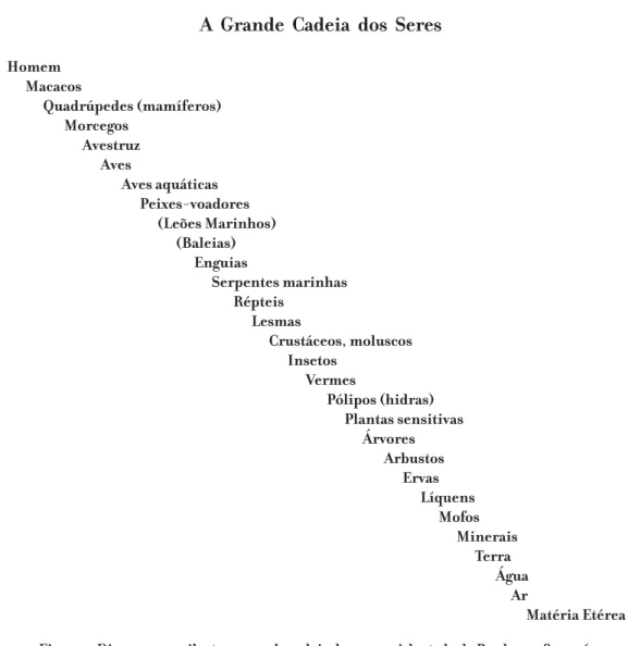 Figura 1. Diagrama que ilustra a grande cadeia dos seres. Adaptado de Bowler, 1989, p