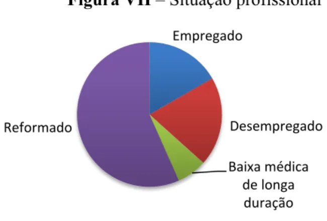 Figura VII – Situação profissional 