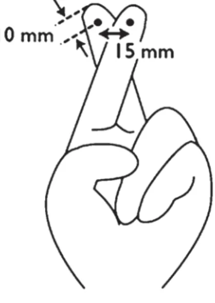 Figura 3. Ilusão de Aristóteles como exemplo de modularidade.