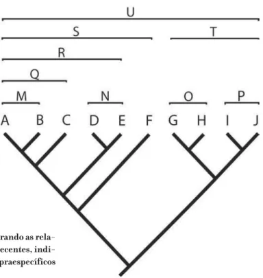 Figura 5. Cladograma hipotético mostrando as rela- rela-ções de parentesco entre 10 espécies recentes,  indi-cando os nove grupos monofiléticos supraespecíficos existentes para esses táxons.