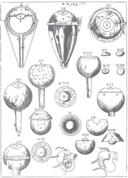 Figura 1. Os componentes do olho segundo Plater. Kepler reproduziu os desenhos e o esquema de Plater no quinto livro dos Paralipomena.