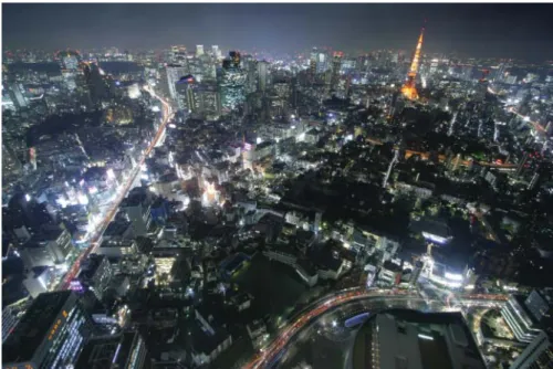 Figura 50  Vista Aérea Nocturna Tokyo