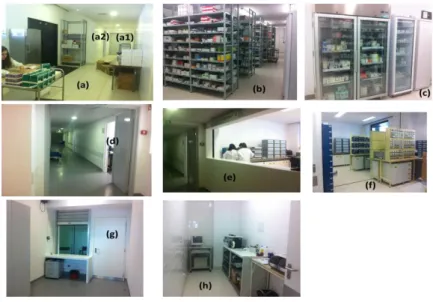 Figura  2.2  –  Serviços  farmacêuticos  do  HSM.  (a)  Zona  de  receção;  (a1)  armazém  de  soros  e  volumes  grandes;  (a2)  armazém  de  desinfetantes;  (b)  armazém  de  medicamentos,  alimentação  especial  e  dispositivos  médicos;  (C)  frigorífi