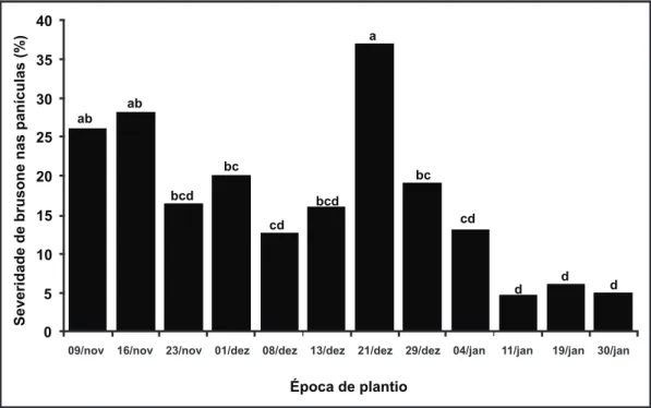 FIGURA 3  - Relação entre o teor de cloroila na folha bandeira e  a severidade de brusone nas panículas, na cultivar de arroz BRS  Bonança