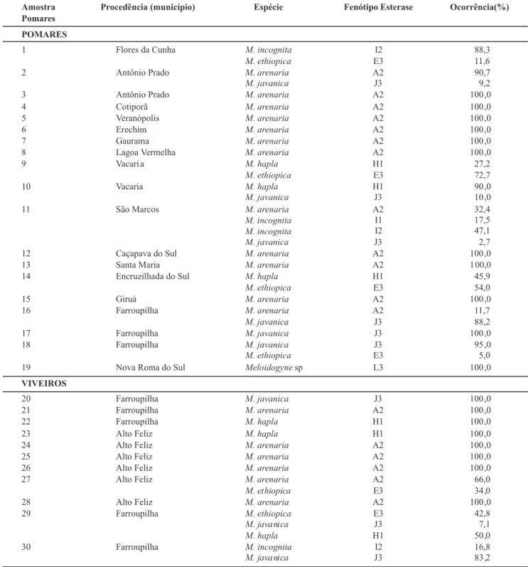 TABELA  1  -  Fenótipos  isoenzimáticos  de  esterase  e  suas  respectivas  percentagens  de  ocorrência  observadas  em  44  populações  de  Meloidogyne spp