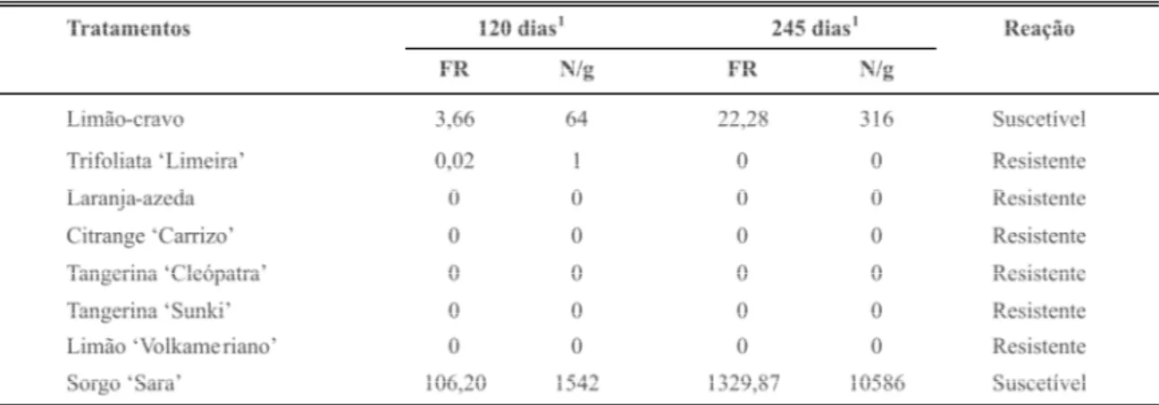 TABELA 1 -  Fator de reprodução (FR) de Pratylenchus jaehni (K 5 ) em porta-enxertos cítricos e número de nematoides  por grama de raízes frescas (N/g), aos 120 e 245 dias após a inoculação
