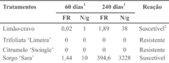TABELA  2  - Fator de reprodução (FR) de  Pratylenchus  jaehni  (K 5 ) em porta-enxertos cítricos e número de nematoides por grama  de raízes frescas (N/g), aos 60 e 240 dias após a inoculação