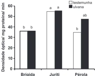 FIGURA 2 -  Atividade de glucanases 48 horas após a inoculação  de Uromyces appendiculatus em cultivares de feijoeiro do grupo  carioca BR IPA - 11 Brígida, IPR Juriti e Pérola pulverizadas ou  não com ulvana.