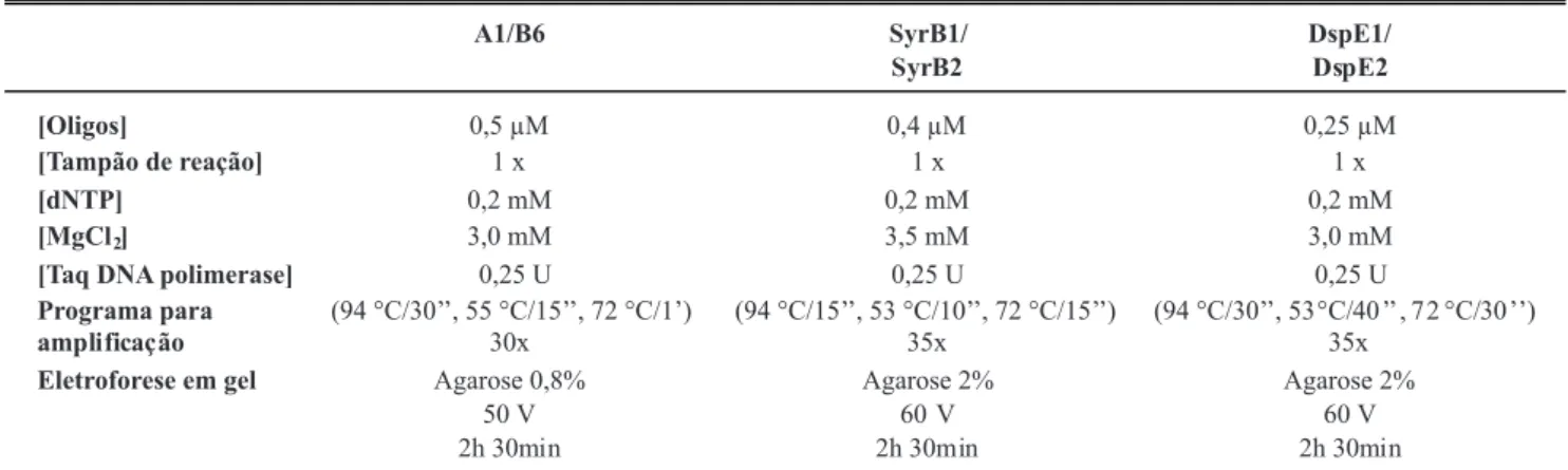 TABELA 1 -  Concentração inal dos reagentes, condições da PCR e eletroforese utilizadas para os pares de oligonucleotídeos iniciadores  usados na detecção de bactérias em gemas de pereiras europeias