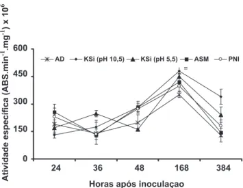 FIGURA 2 -  Atividade especíica de quitinases em folhas de plantas  de soja determinada em diferentes épocas após a inoculação com  Phakopsora pachyrhizi e que receberam previamente a aplicação  foliar  de  água  destilada  (AD),  silicato  de  potássio  (