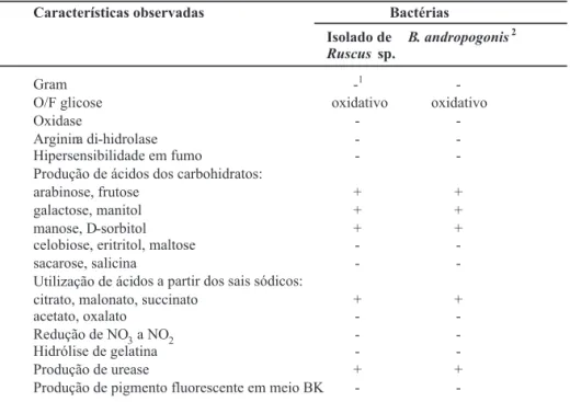TABELA 1 -  Características bioquímicas, culturais e isiológicas do isolado de Ruscus sp