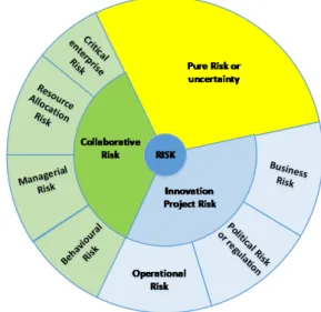 Figure 1: Wheel of innovation risks in a collaborative ecosystem.