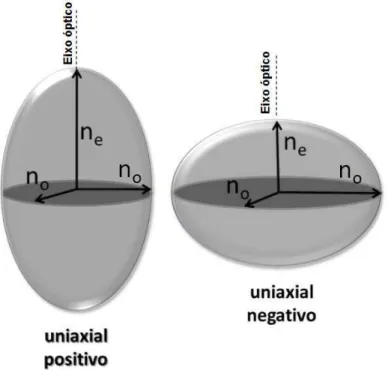 Figura 2.3: Ilustra¸c˜ ao da indicatriz ´ optica uniaxial, opticamente positiva e opticamente nega- nega-tiva.