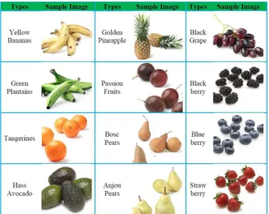 Figura 7 – Diferentes tipos de frutos e respectiva amostra gráfica (Zhang &amp; Wu, 2012)