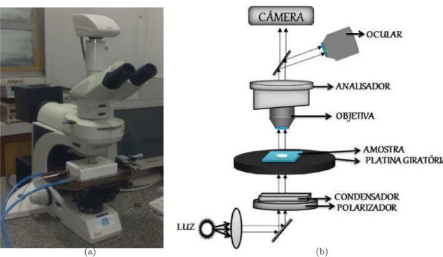Figura 3.3: Em (a) microsc´opio ´optico de luz polarizada; (b) representa¸c˜ao esquem´atica dos principais componentes do microsc´opio.