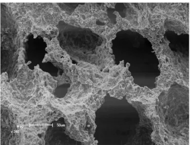 Figura 1.1: Meio poroso. Fonte: Imagem obtida por meio da técnica da Microscopia Eletrônica de Varredura no Laboratório de Materiais - Física/UEM - Crédito: Taiana Bonadio.