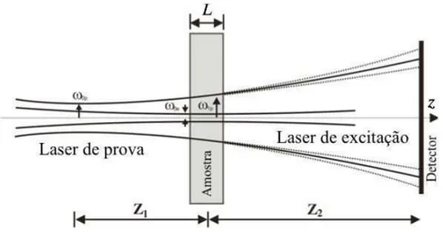 Figura 1.7: Ilustração do setup utilizado por Shen et al.