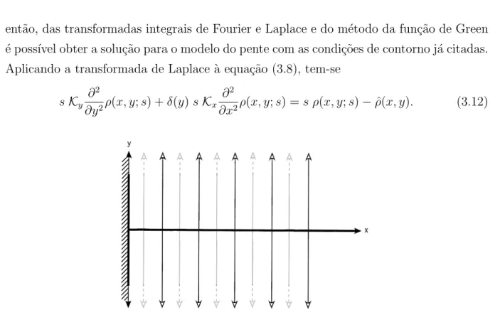 Figura 3.3: Ilustra¸c˜ao do sistema f´ısico estudado, modelo do pente semi-infinito com estrutura de backbone na dire¸c˜ao x, bra¸cos infinitos na dire¸c˜ao y e presen¸ca de superf´ıcie adsorvente em x = 0 [100].
