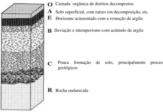 Figura 3-  Perfil hipotético de solo com horizontes dominantes (horizontes O, A, E, B, C, e R)   (SPRECHER, 2000) (tradução nossa) 
