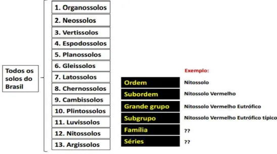 Figura 4 - Estrutura da hierarquia do atual Sistema de Classificação dos Solos. Das seis categorias  apenas quatro têm suas classes estabelecidas (p