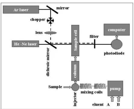 Figura 3.8: Montagem experimental do sistema ELT-HPLC.