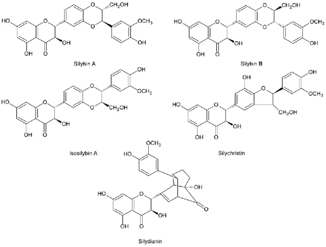 Figure I.3.9. Some constituents of the flavonoid silymarin (G AZÁK ET AL . 2007; K ATIYAR ET AL 