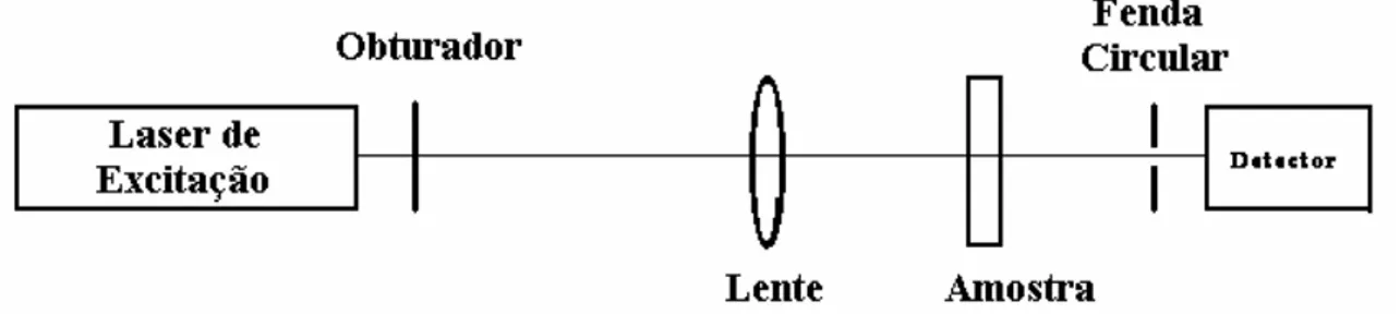 Fig. 1.3: Configuração para a ELT com apenas um Laser 
