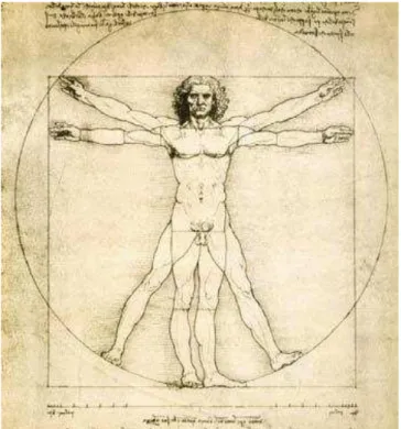 Figura 8. O Homem Vitruviano, Leonardo da Vinci (1452-1519)  