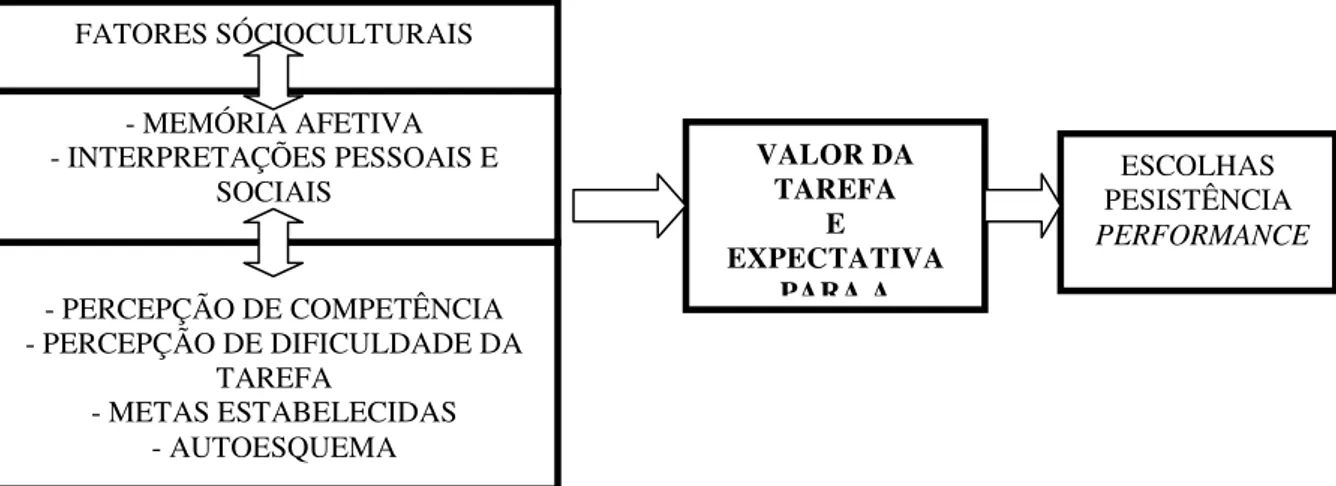 Figura 1.  Síntese dos componentes do modelo expectativa-valor com as variáveis  antecedentes