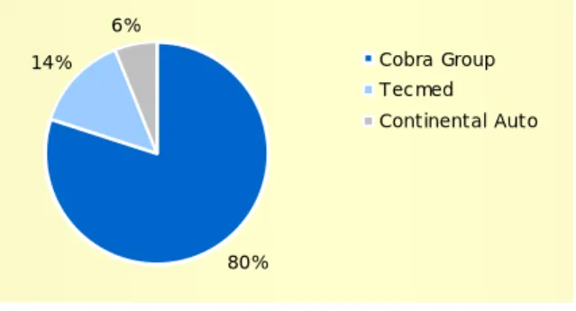 Figure 3 – ACS – Services Turnover by Subsidiary 
