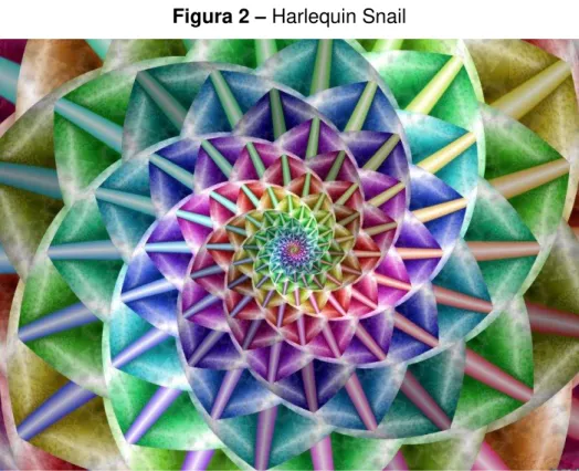 Figura 2  –  Harlequin Snail
