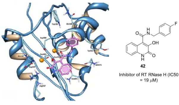 Figure 1.2 – Putative binding mode of amide 42 in the RT RNase H catalytic site. 72