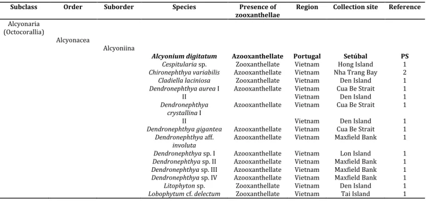 Table 1: Database of the coral species used (with presence or absence of zooxanthellae),  respective region and collection sites
