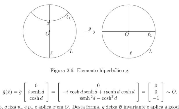 Figura 2.6: Elemento hiperb´olico g.