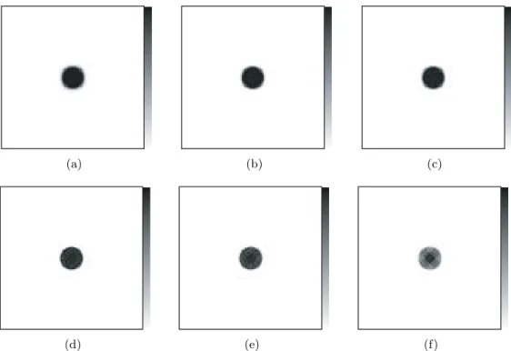 Figure 7.16: Central slice images of the Analytical Sphere Phantom reconstructed images with (a) ML-EM and OS-EM with (b) 2 subsets, (c) 4 subsets, (d) 8 subsets, (e) 12 subsets and (f) 24 subsets at the corresponding iteration of convergence.