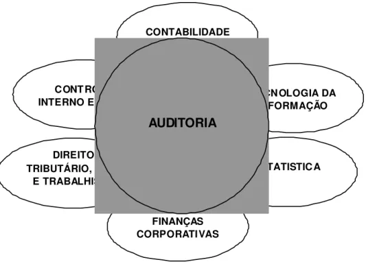 Figura n° 4 – Conhecimento de Auditoria  FONTE: Elaborado pelo autor. 