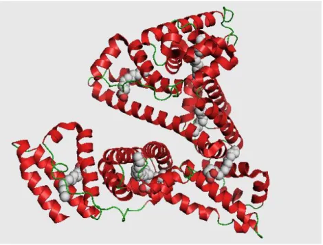 Figure 5 - 3D Visualization of Human Serum Albumin (HAS) (22) 