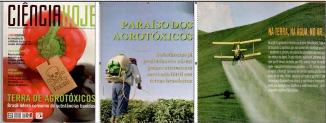 Figura 1: Imagens da Revista Ciência Hoje sobre Agrotóxicos  Fonte: Revista Ciência Hoje, capa e páginas 20 e 25 