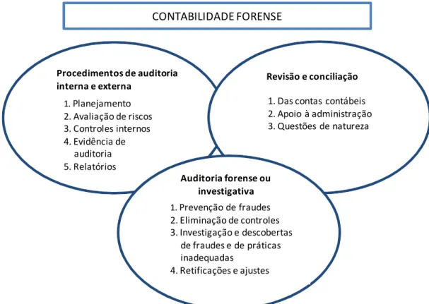 Figura 5  –  Áreas de atuação da auditoria investigativa 