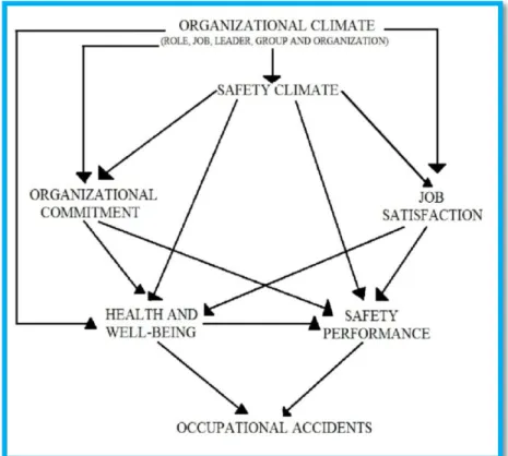 Fig. 2. Model of linking organizational commitment and occupational accidents