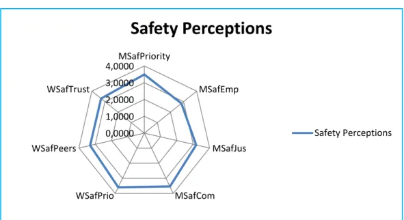 Fig. 7. Safety Perceptions 