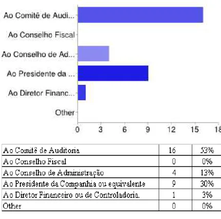Gráfico 1 – Reporte da Auditoria Interna  Fonte: Geração Automática pelo Web Site 