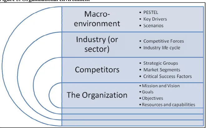 Figure 5. Organizational environment 